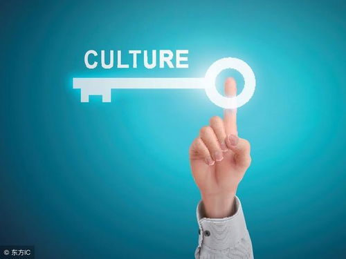 企業(yè)文化到底有用嗎？精明的老板這樣優(yōu)化企業(yè)管理